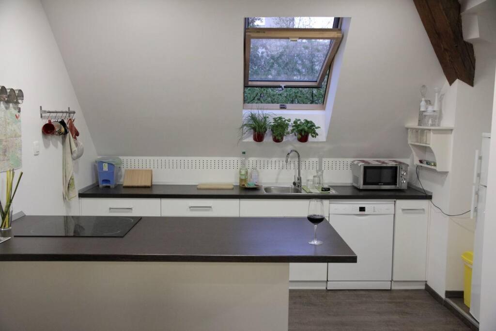 Entire Apartment In The Center With Free Parking Ljubljana Exterior photo