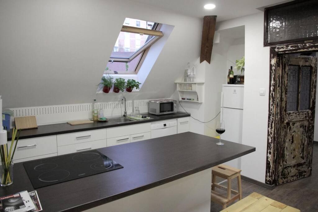 Entire Apartment In The Center With Free Parking Ljubljana Exterior photo